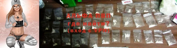 гашик Белокуриха