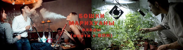 гашик Белокуриха